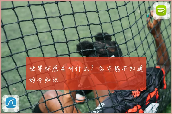世界杯原名叫什么？你可能不知道的冷知识